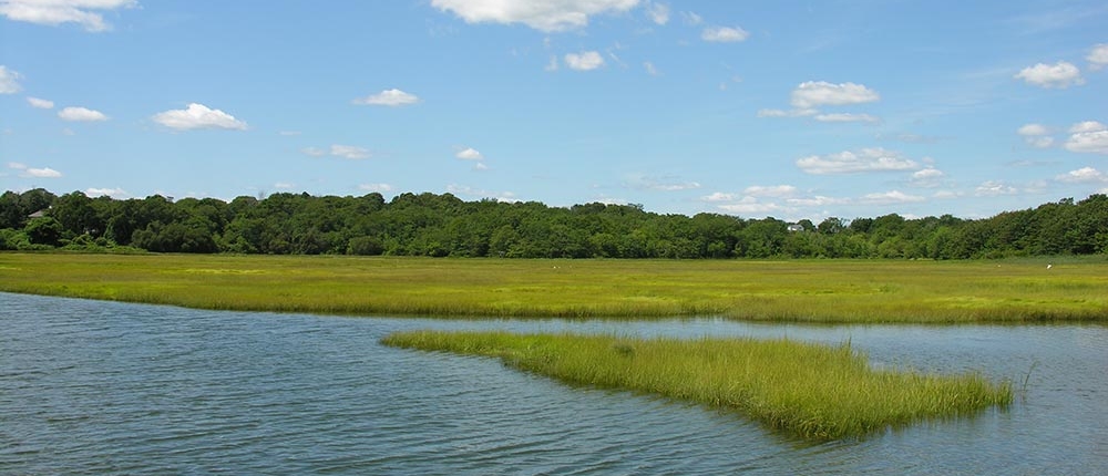 Wetland Permitting