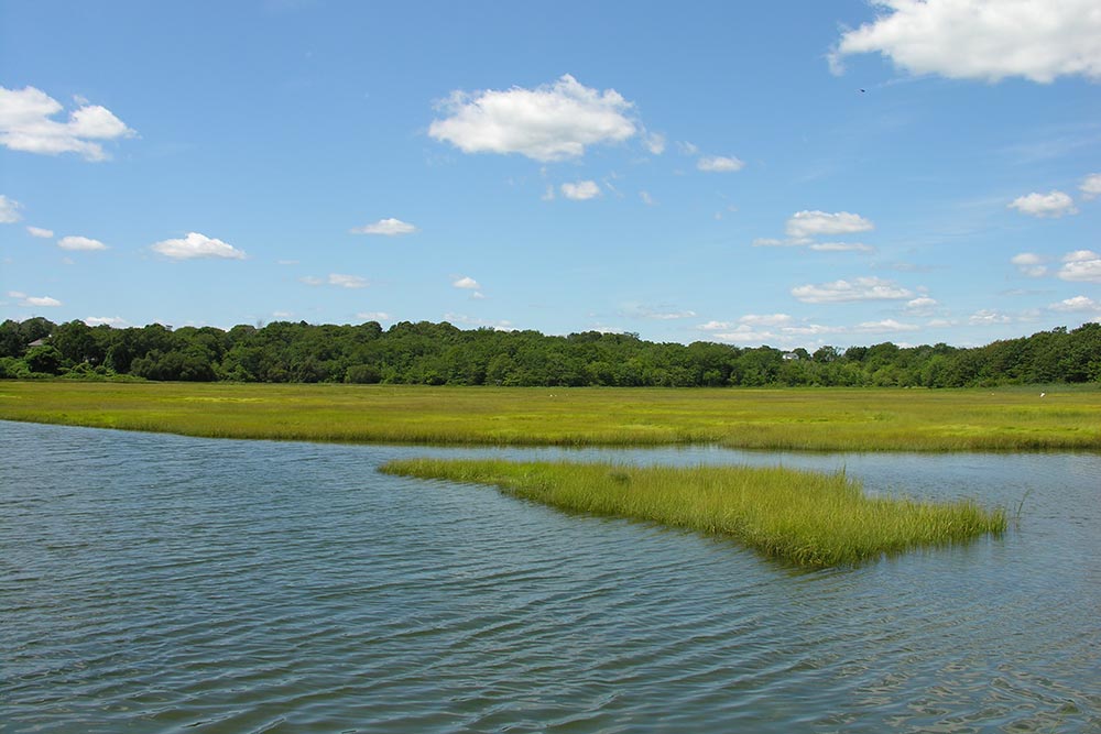 Wetland Permitting